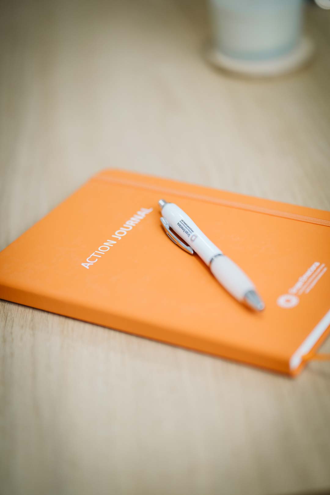 formación-coaching-oficial - copia - copia